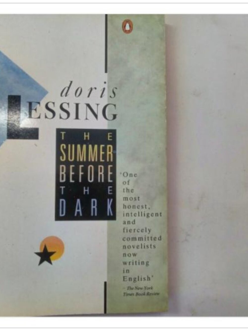 The Summer Before the Dark A Novel Literary Fiction Penguin Books 1975 PB